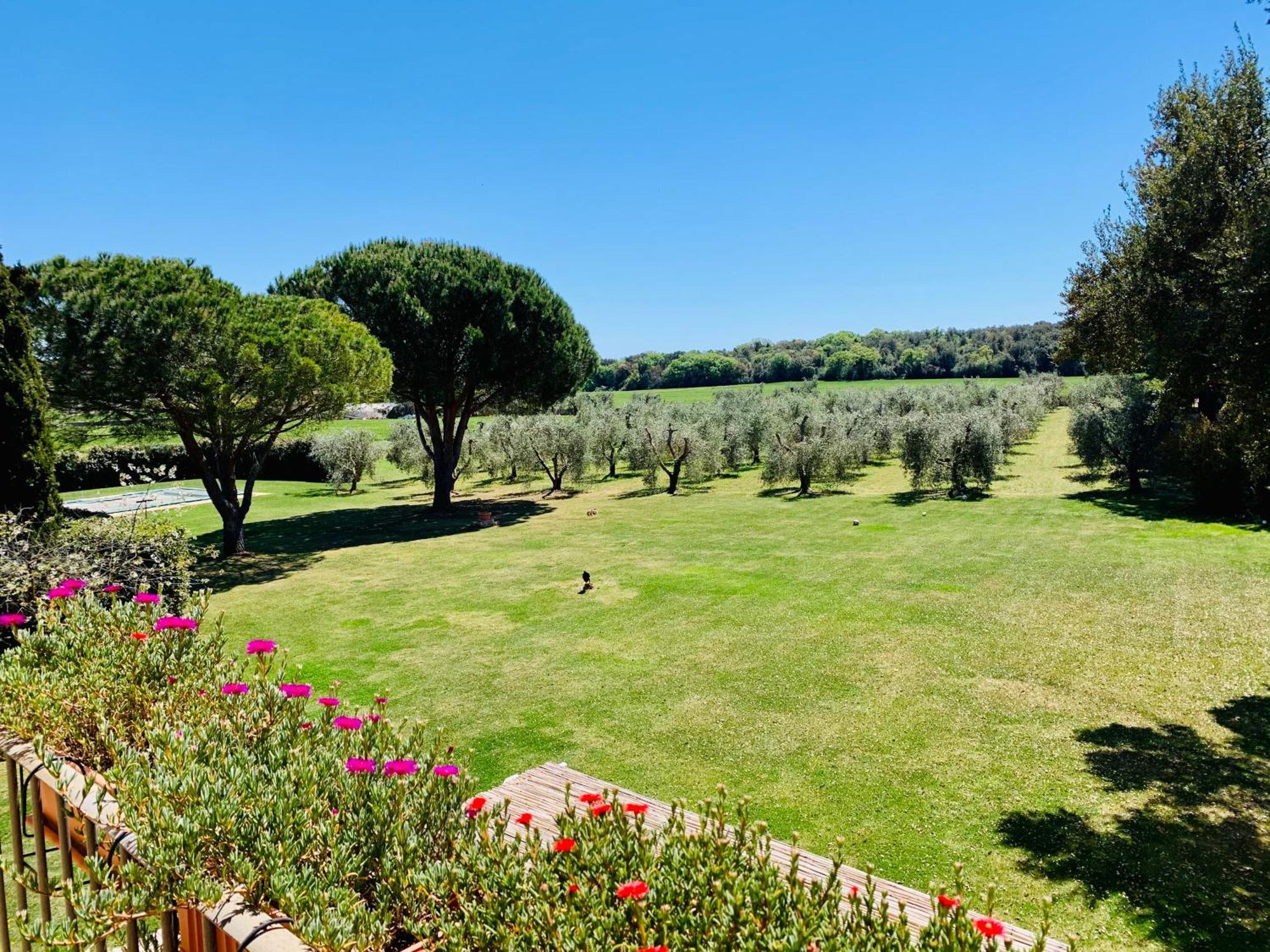 Il Borghetto Di Ansedonia Lejlighed Eksteriør billede